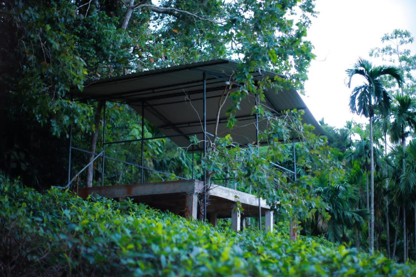 Rainforest Lodge, Deniyaya Singheraja Exterior foto