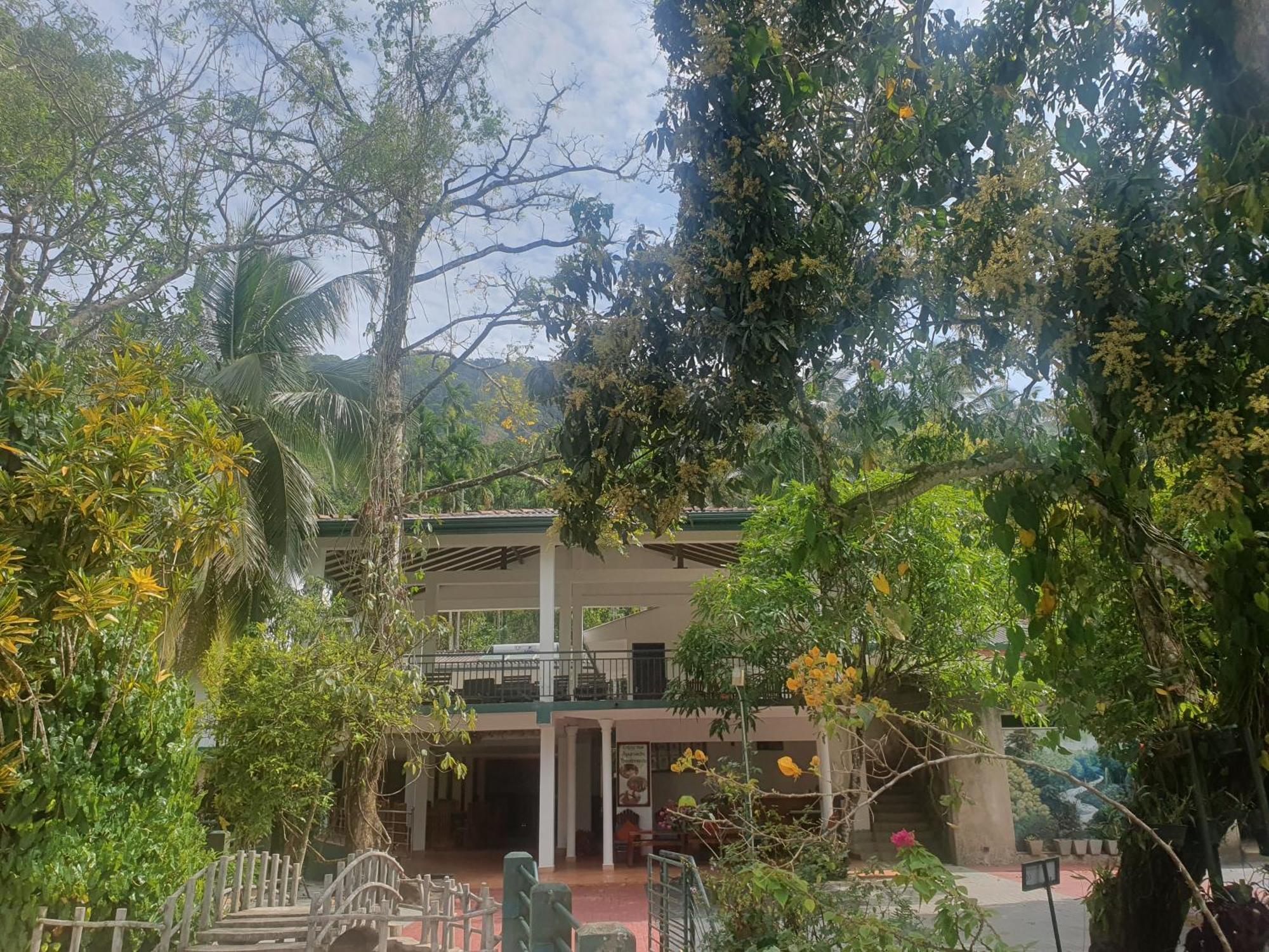 Rainforest Lodge, Deniyaya Singheraja Exterior foto