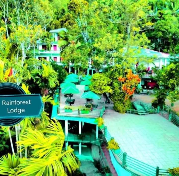 Rainforest Lodge, Deniyaya Singheraja Exterior foto